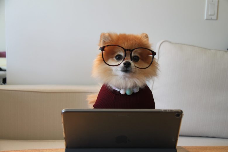パソコンの前に座る、メガネをかけた犬