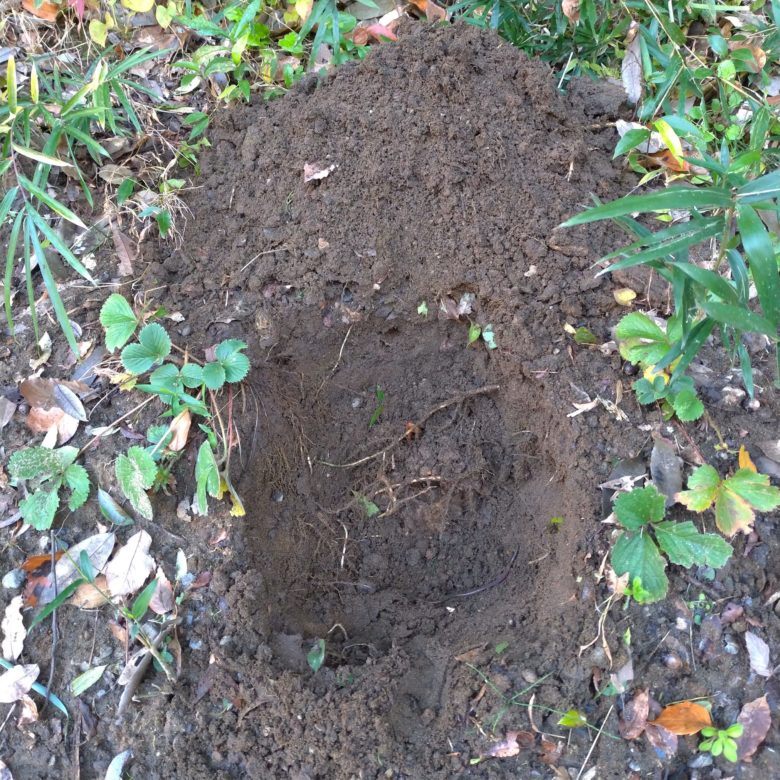 地面を掘ってできた穴